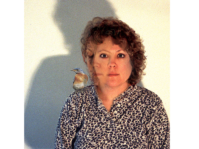 bird